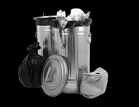 Local waste removal experts at work